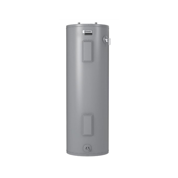 AO Smith® 100227965