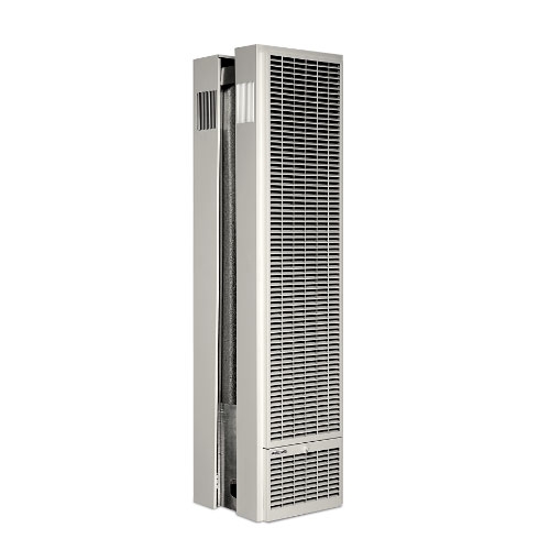 Williams 5009822 50,000 BTU Natural Gas Monterey Plus Top Vent Gravity Double Sided Wall Furnace